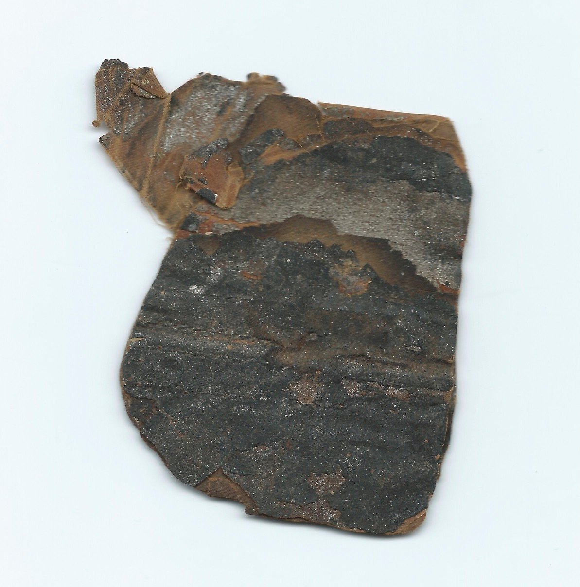 N.S.11 Back